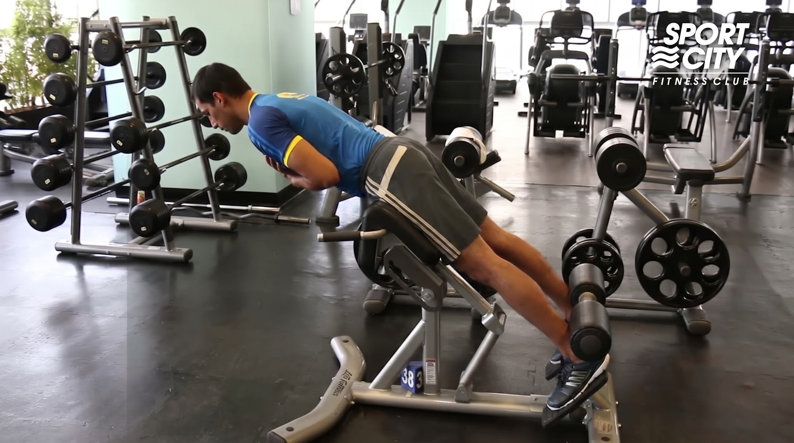 Ejercicios como la extensión de espalda, elevación de rodillas y extensión de piernas contribuyen al aumento de fuerza, tono muscular y resistencia en todo el tren inferior (Imagen Ilustrativa Infobae)