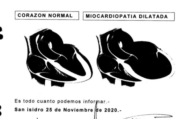 Los nuevos audios que reprodujeron en el juicio por la muerte de Maradona y comprometieron a Luque, Cosachov y Díaz