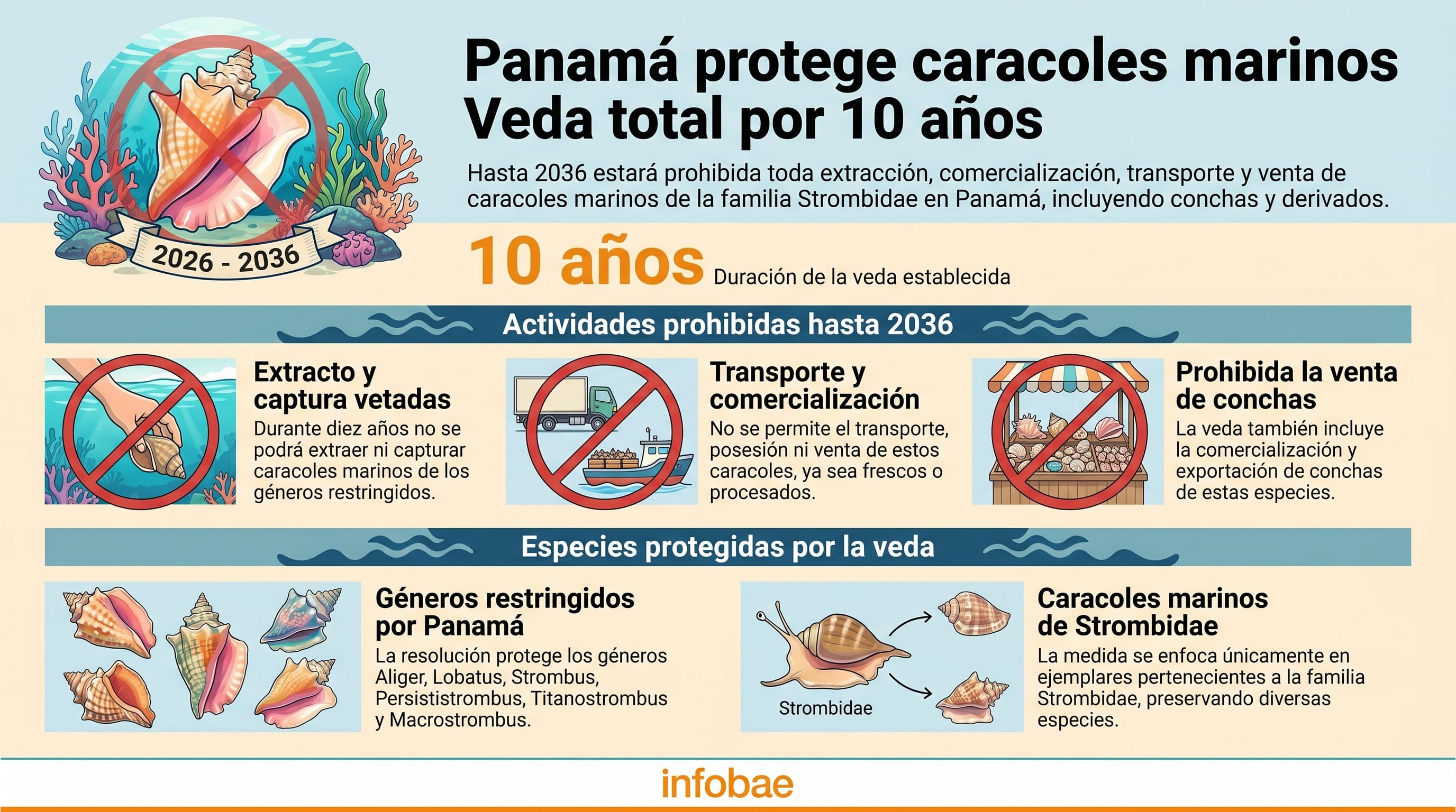 La nueva veda prohíbe la captura, venta, transporte y exportación de varias especies de caracoles marinos. (Imagen Ilustrativa Infobae)
