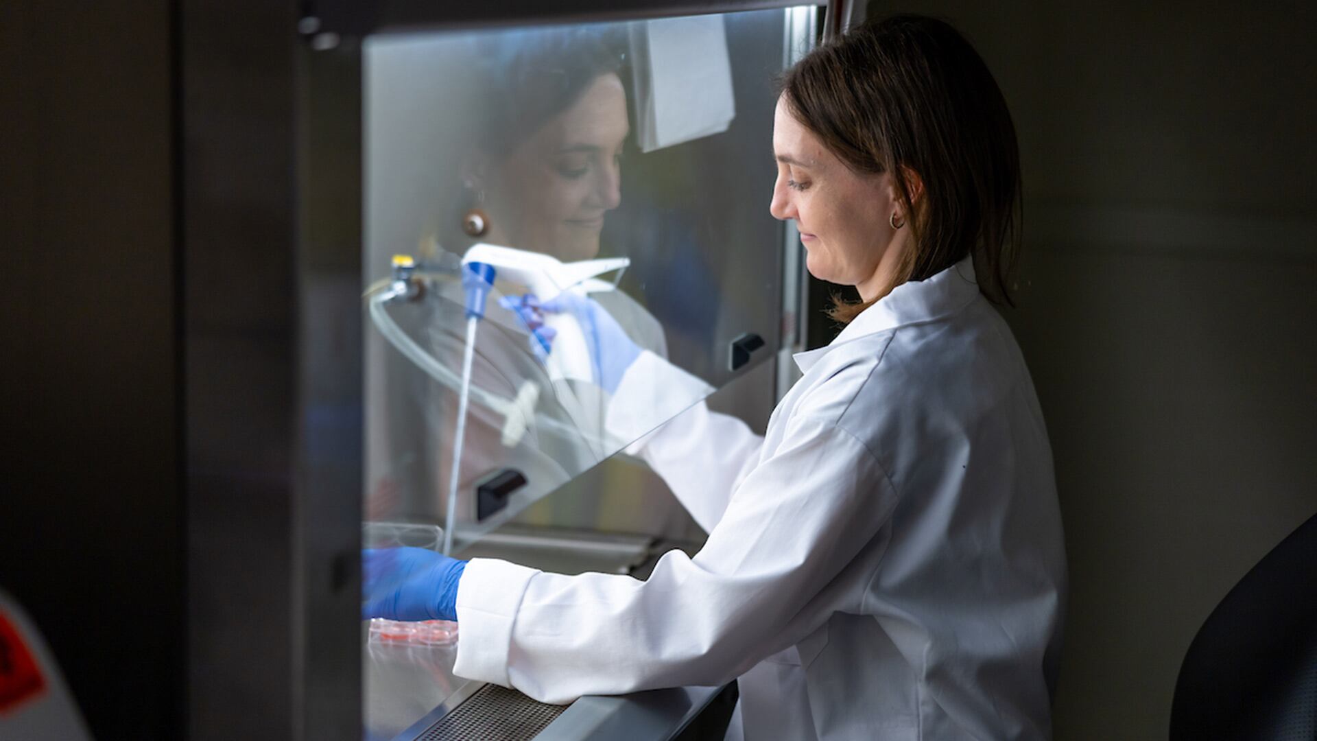 La científica Katrina Adams lideró el estudio que confirmó que los dos modelos de ratón más usados no son intercambiables para estudiar esclerosis múltiple. (M. Caterina/Universidad de Notre Dame )