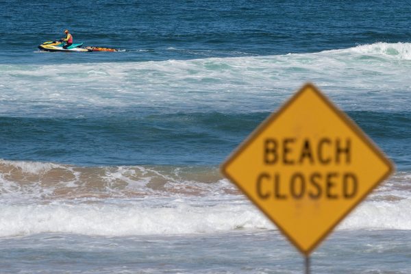Sus amigos lo vieron morir: un tiburón mató a un pescador en el segundo ataque mortal en una semana en Australia