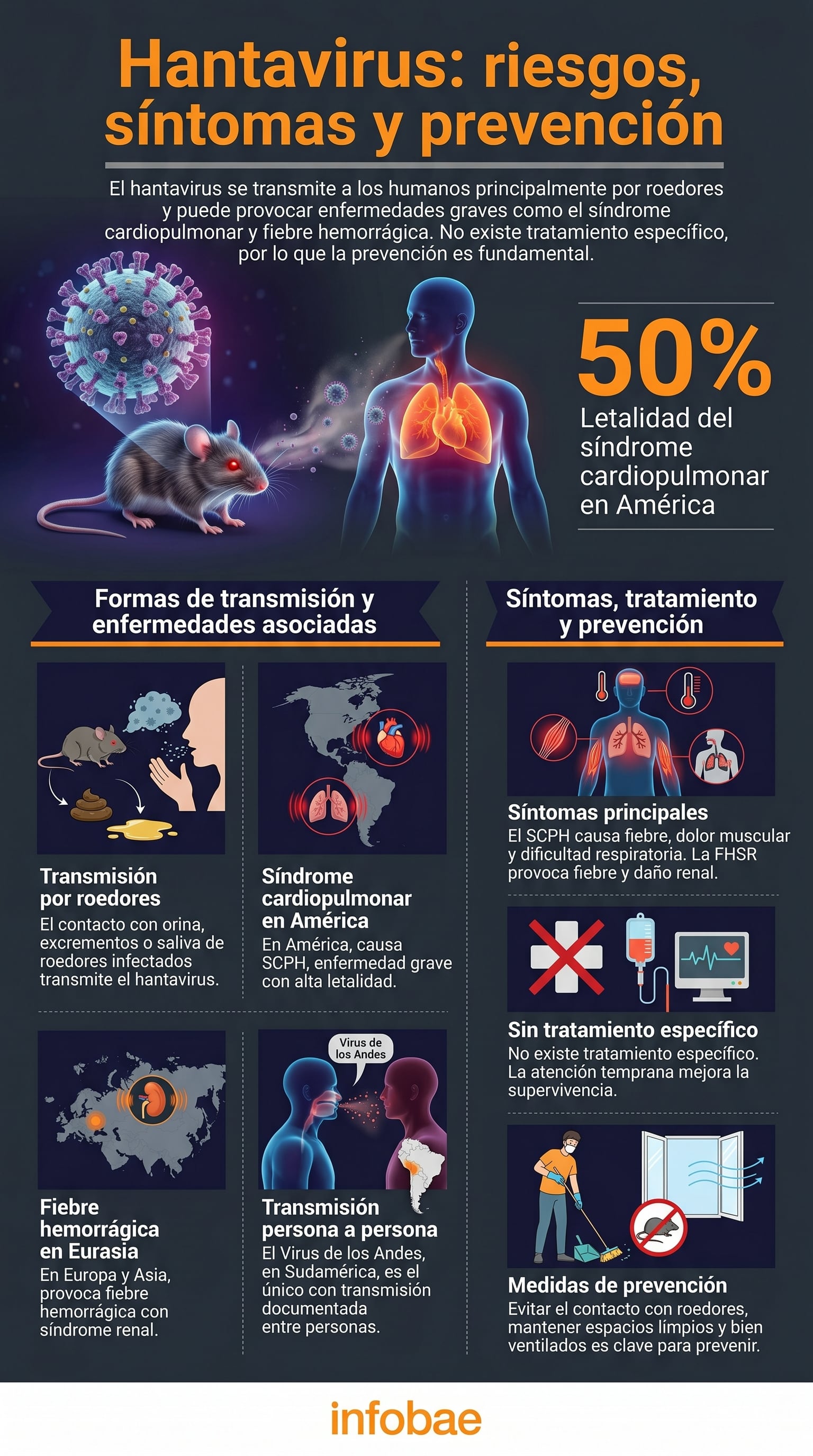 Infografía detallada sobre el hantavirus que ilustra sus formas de transmisión, enfermedades asociadas, síntomas, tratamiento y medidas de prevención cruciales para la salud pública. (Imagen Ilustrativa Infobae)