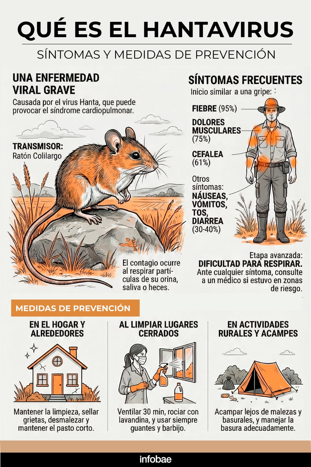 El hantavirus es una enfermedad viral transmitida por roedores, en Argentina la letalidad supera el 31 por ciento esta temporada. 