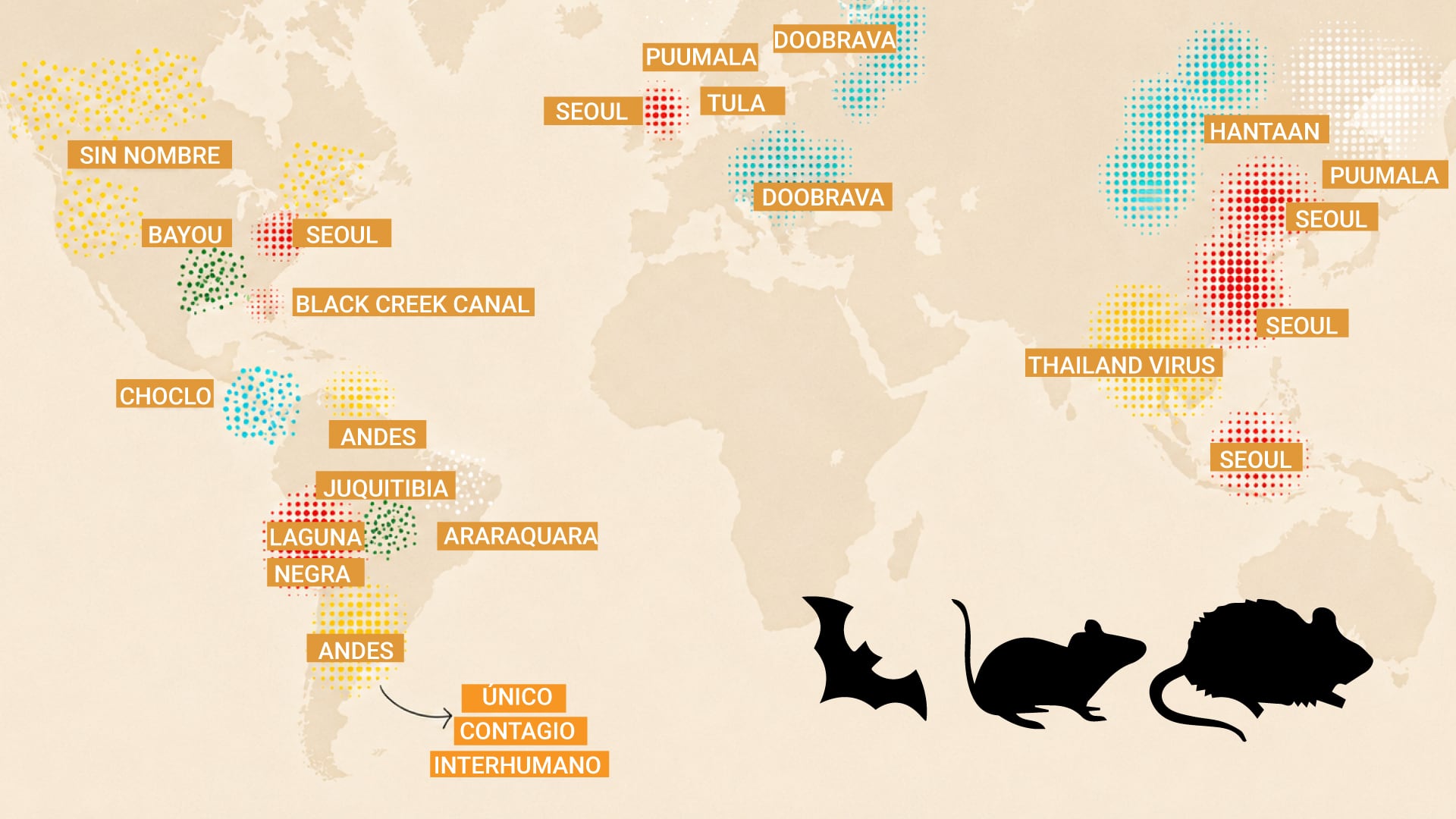Las variantes Orthohantavirus andesense y mamorense circulan en Argentina, cada una vinculada a diferentes reservorios de roedores. 