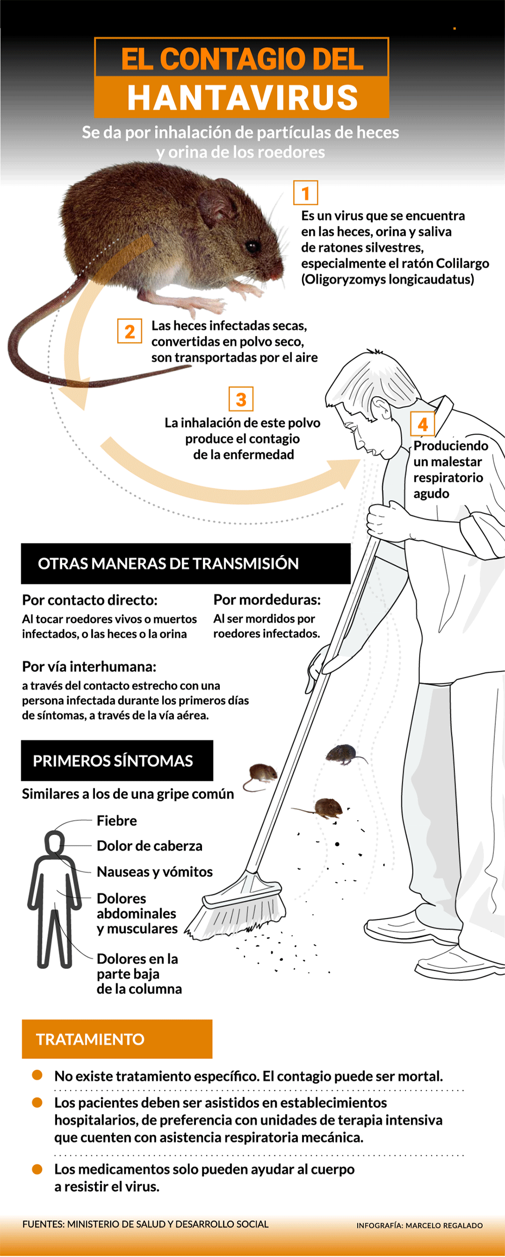 La principal vía de contagio es la inhalación de partículas virales de excrementos de roedores, en zonas rurales y estructuras cerradas. 