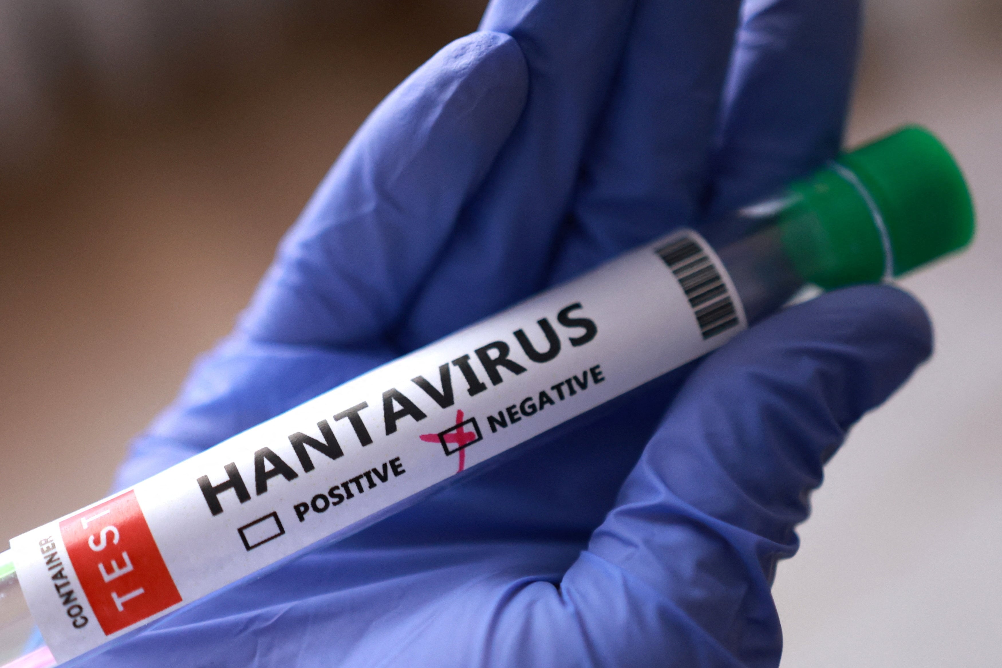 El hantavirus se ha convertido en una preocupación mundial luego del contagio entre personas en un crucero internacional (REUTERS/Dado Ruvic)