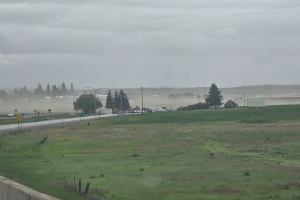 Tormenta de polvo provoca múltiples choques, heridos y cierre total de dos autopistas en un estado de EEUU