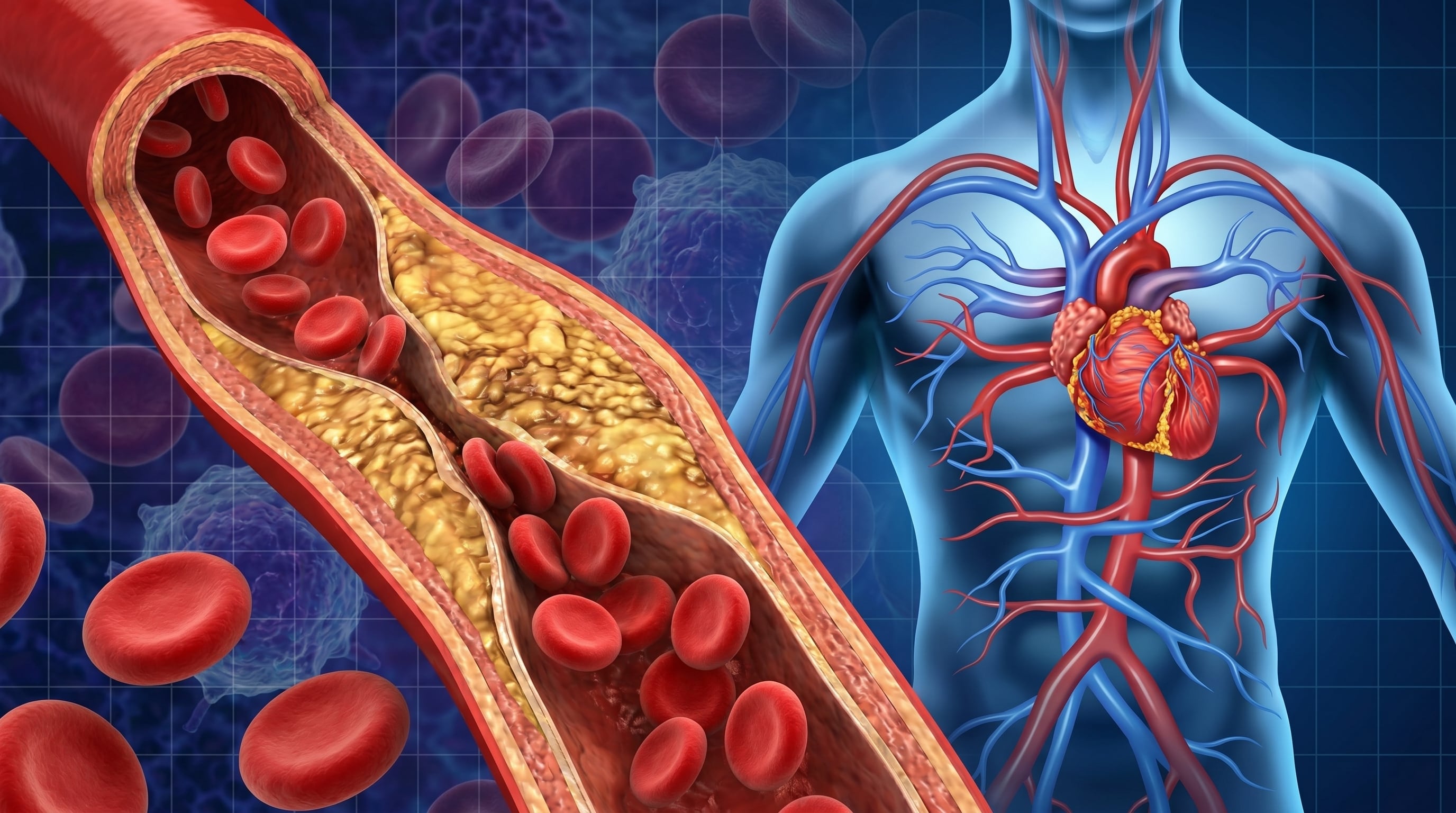 El mapa hormonal predice conexiones inesperadas entre órganos y muestra nuevas funciones en células del sistema inmune y el corazón (Imagen Ilustrativa Infobae)