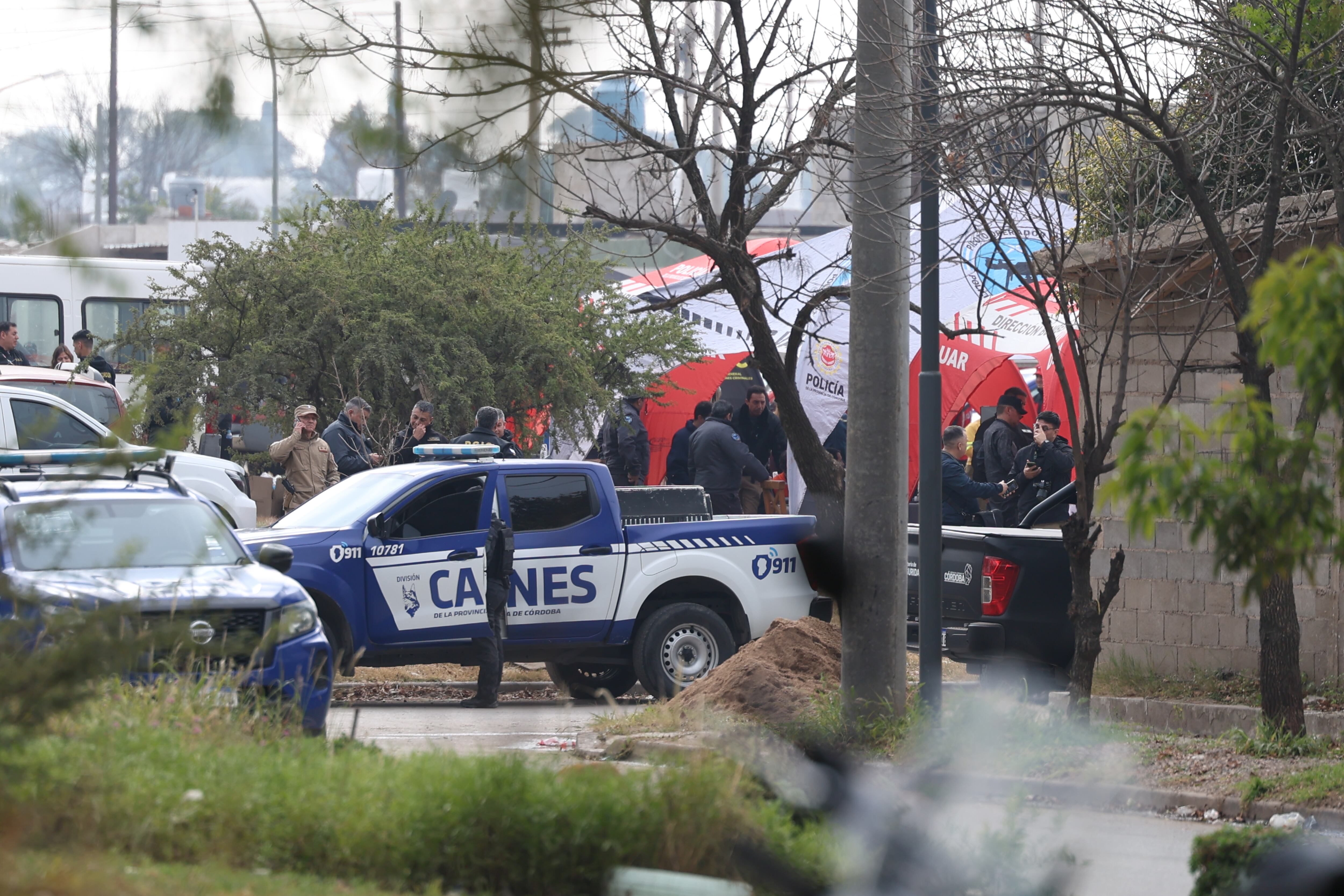 La División de Canes y la Duar en el rastrillaje. (Mario Sar)
