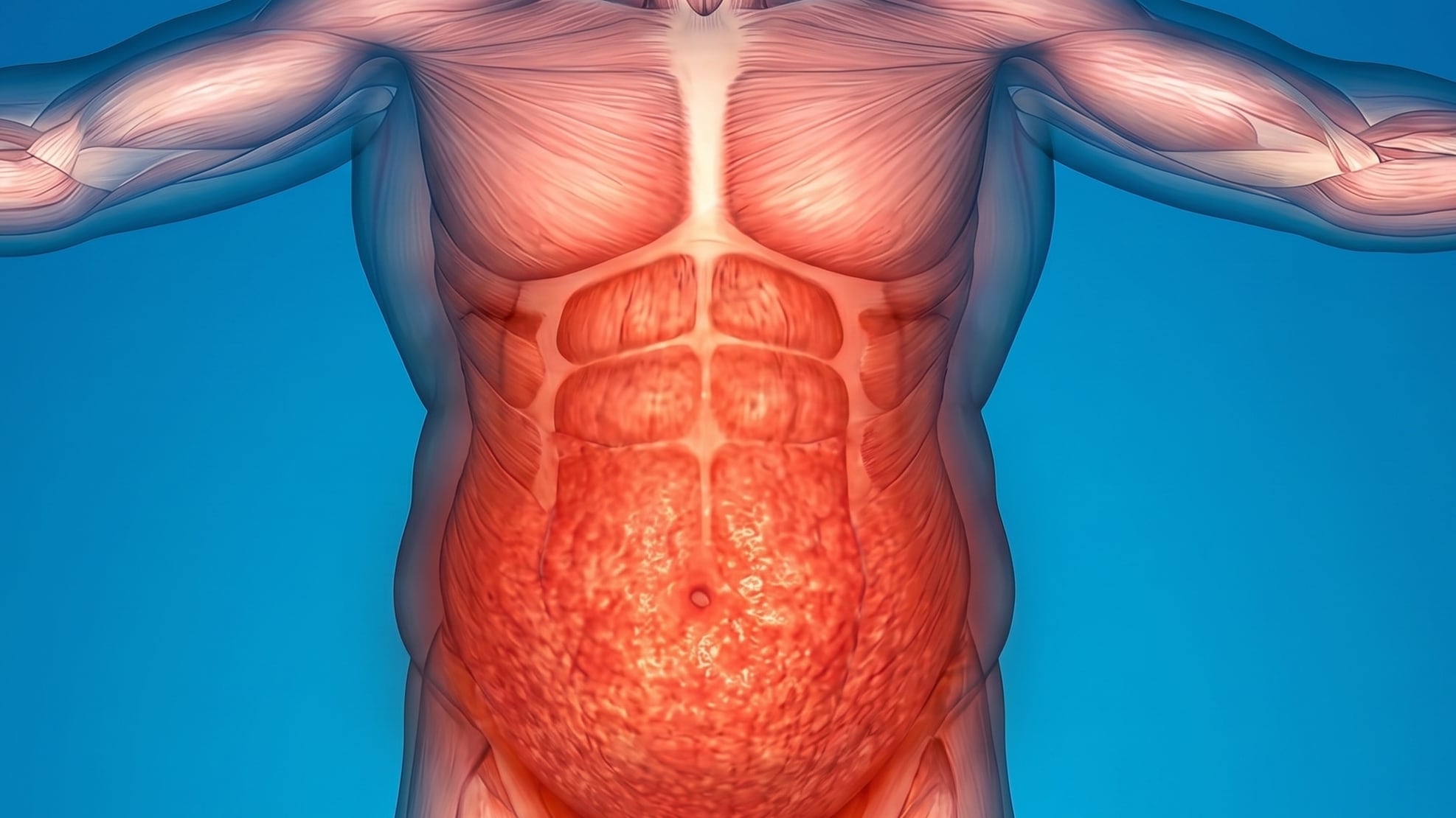El Dr. David Unwin explicó cómo la acumulación de grasa abdominal puede ser una señal temprana de riesgo metabólico y estar vinculada al desarrollo de diabetes tipo 2 (Imagen Ilustrativa Infobae)