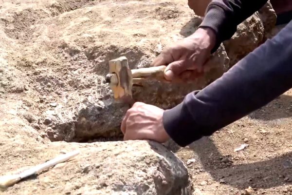 Un hueso fósil reveló que los humanos de la era de hielo tallaban piedras con una técnica inesperada