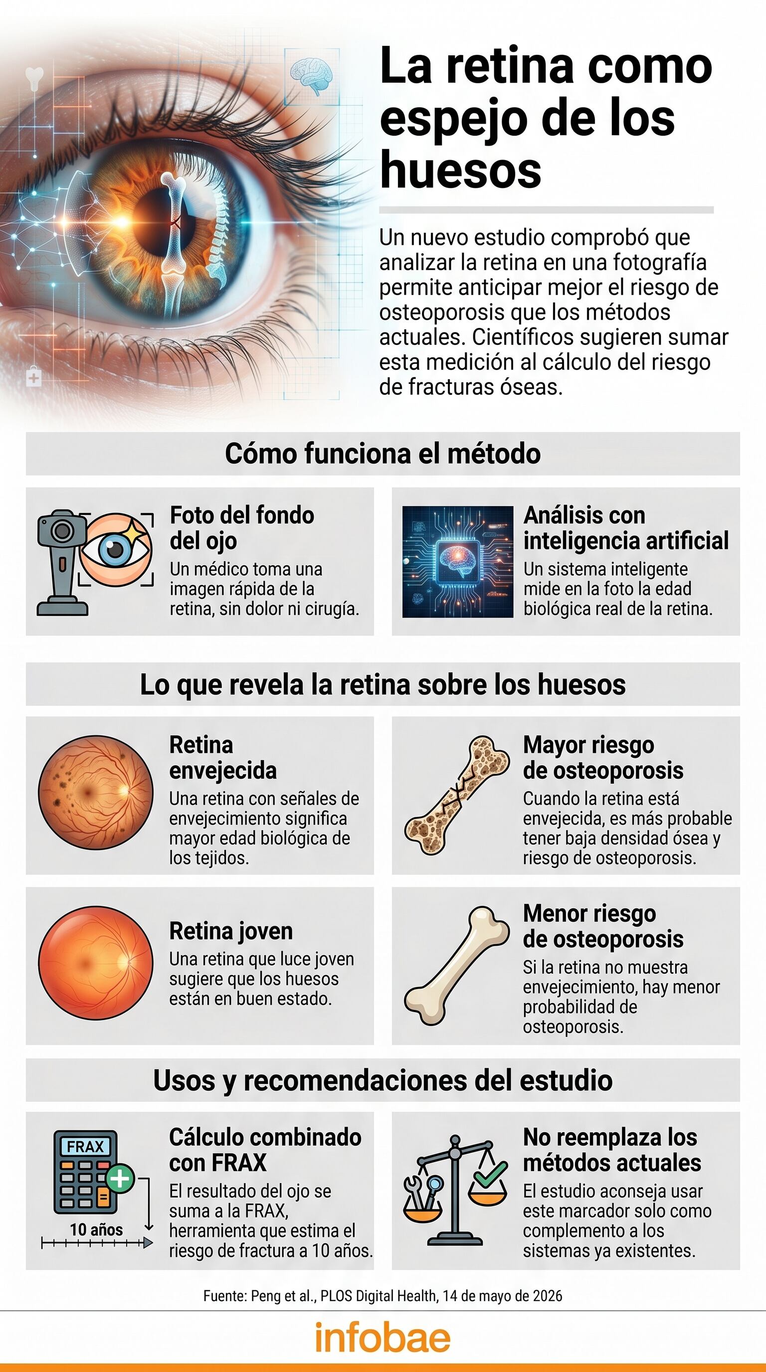 Un nuevo estudio comprobó que el análisis de la retina en una fotografía anticipa mejor el riesgo de osteoporosis que los métodos actuales, sugiriendo sumar esta medición al cálculo de fracturas óseas. (Imagen Ilustrativa Infobae)