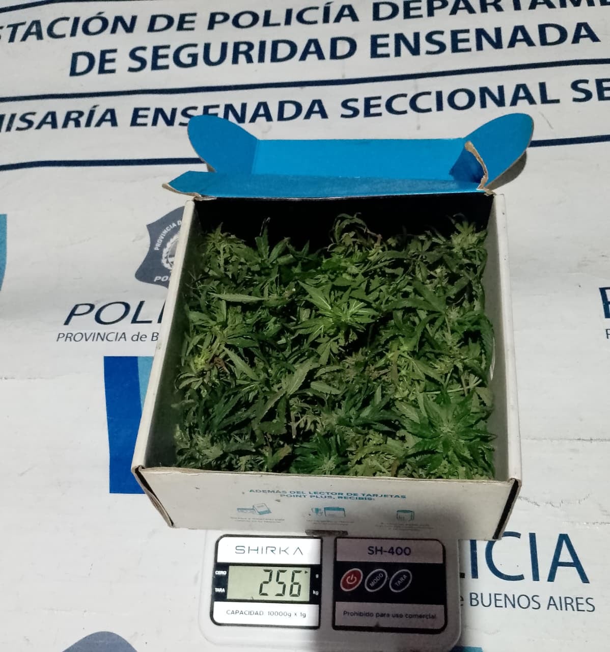Una mujer grabó a su bebé con un arma y quedó detenida