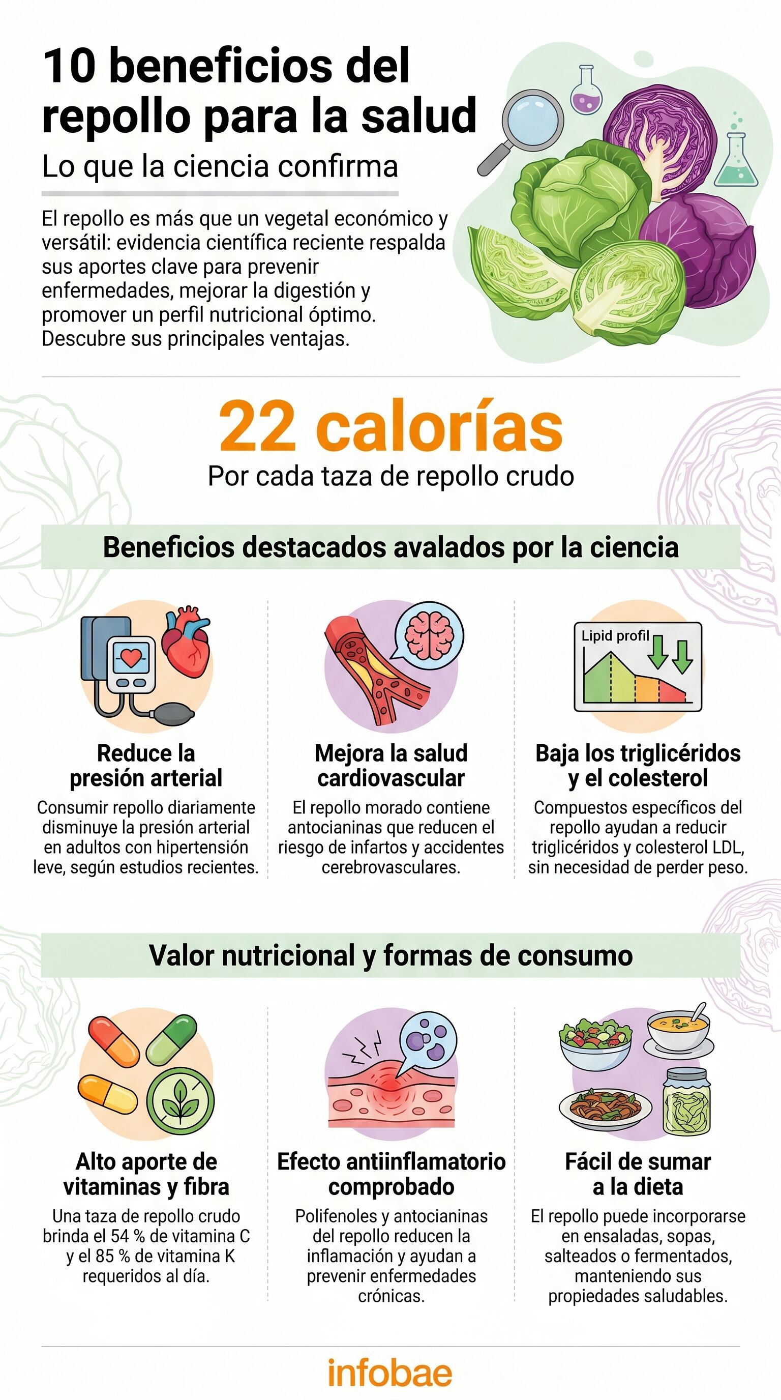 El repollo concentra vitamina C, vitamina K, folato, manganeso, calcio y potasio con un bajo aporte calórico (Imagen Ilustrativa Infobae)