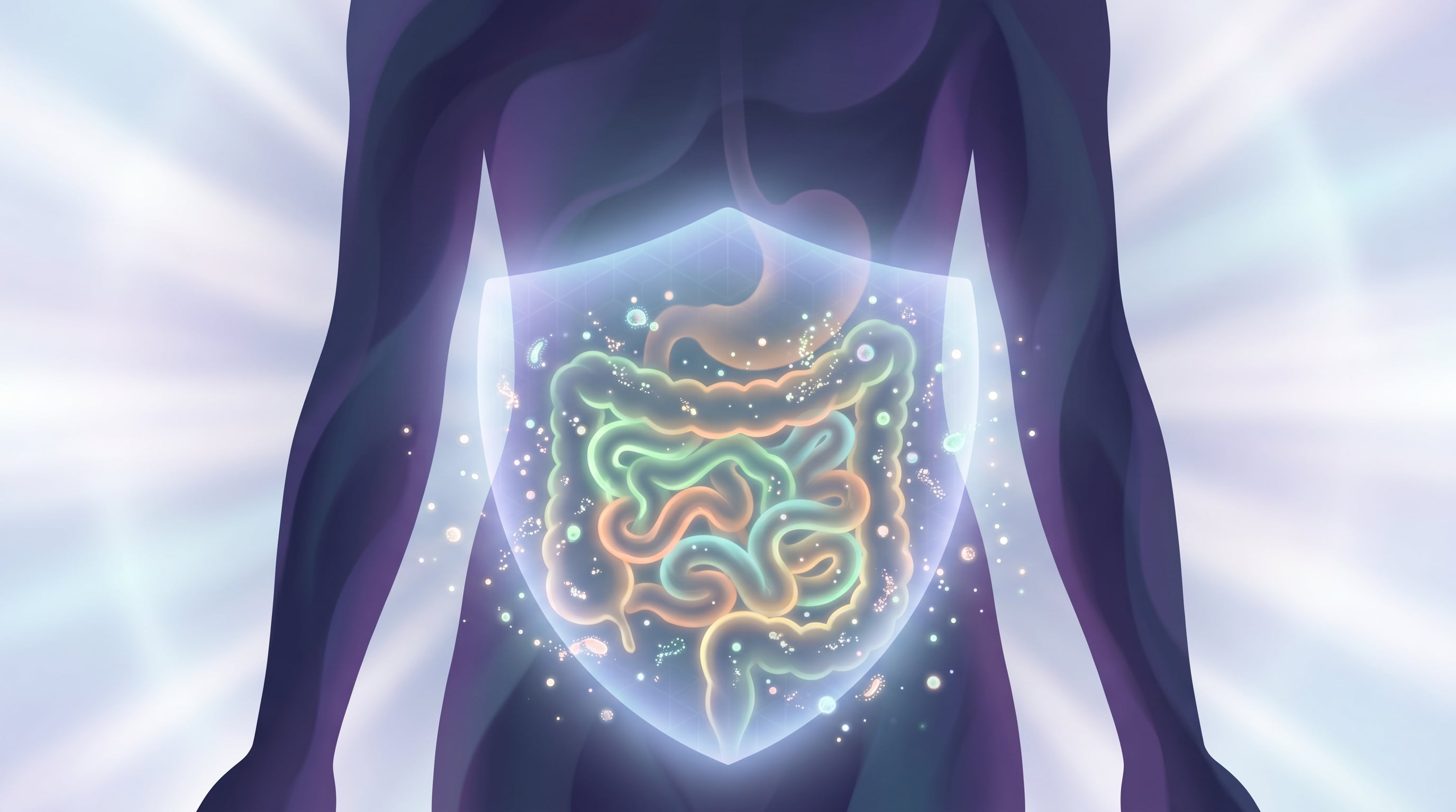 La fibra del repollo mejora la función digestiva, previene el estreñimiento y favorece una microbiota intestinal saludable (Imagen Ilustrativa Infobae)