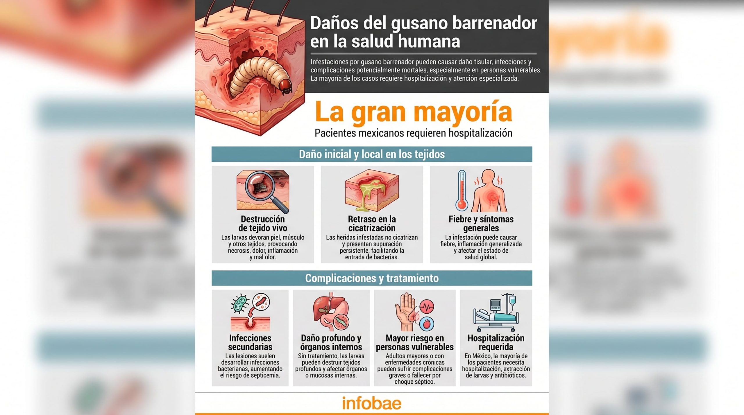 Adultos mayores concentran las muertes por gusano barrenador en Honduras