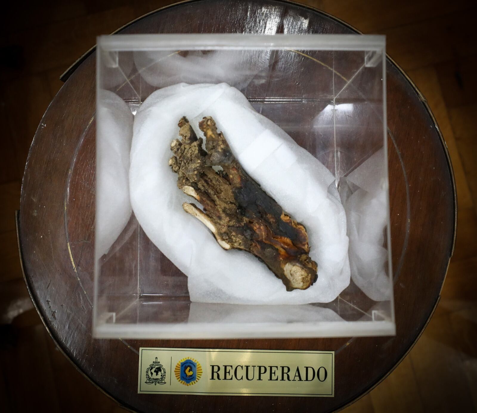 Entre los elementos había un 