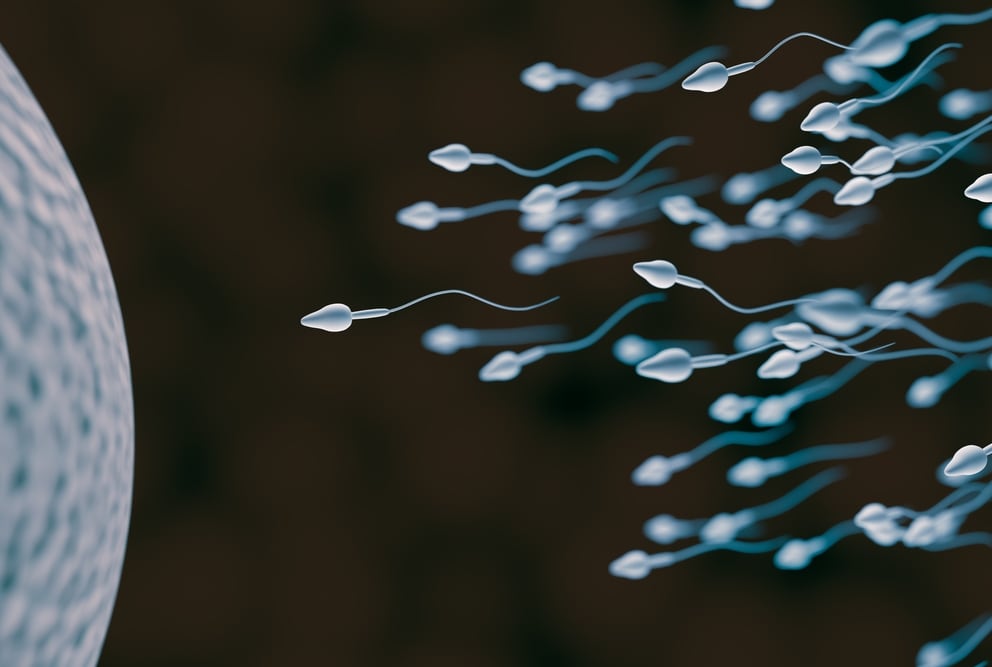 Los centros de fertilidad en Argentina registraron una caída de más del 50% en las consultas para buscar un segundo embarazo en la última década 