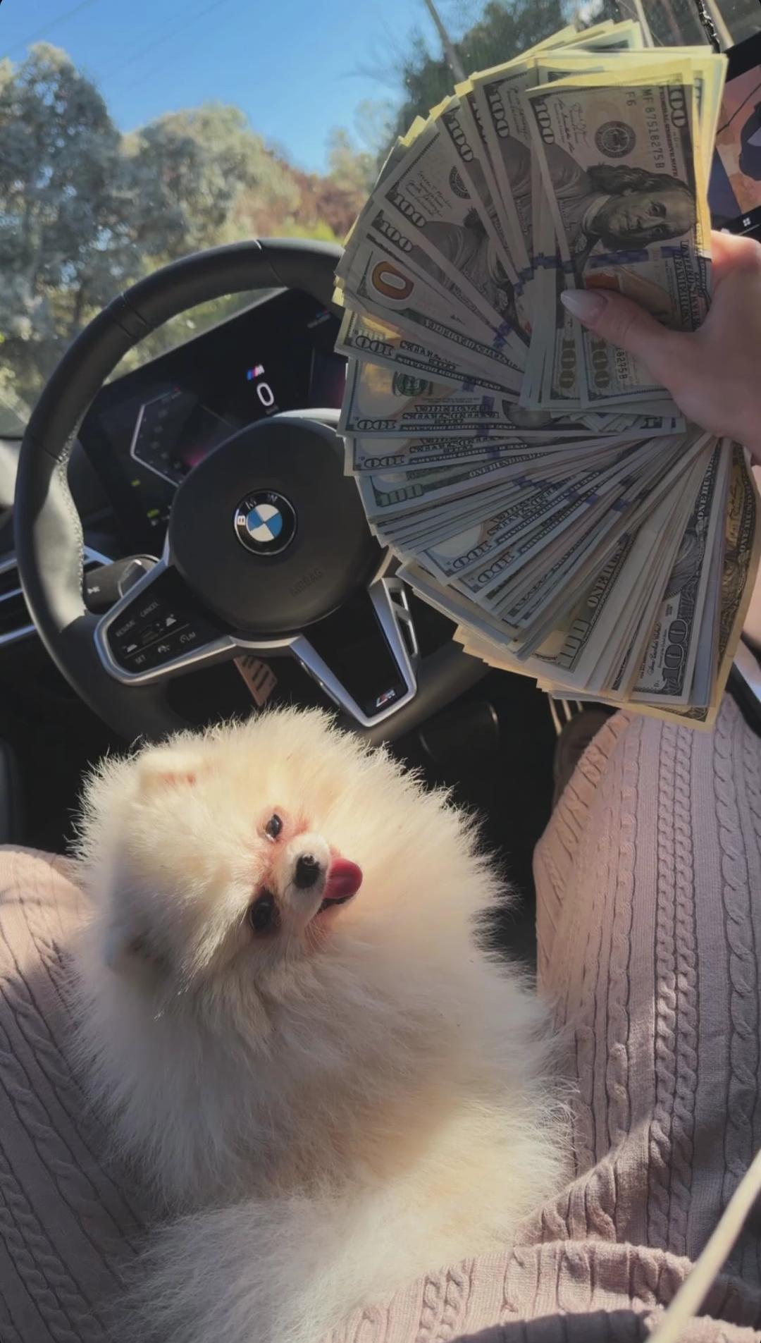 La acompañante de Verón ostentaba dinero dentro del BMW