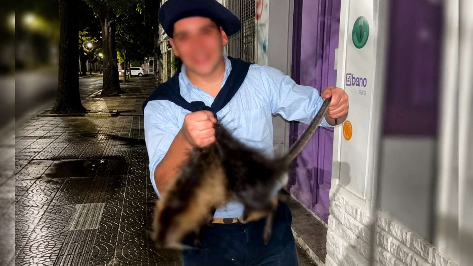 Los peritajes sobre los celulares secuestrados en Bahía Blanca y Huanguelén podrían estar listos la próxima semana