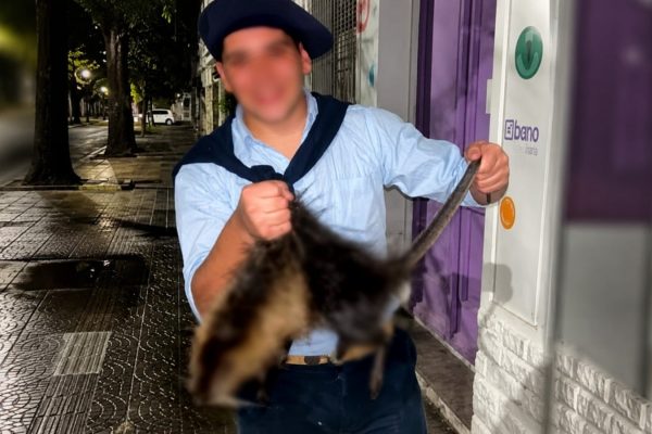 Cómo sigue la causa que investiga a los dos jóvenes que mataron a patadas a una nutria en Bahía Blanca