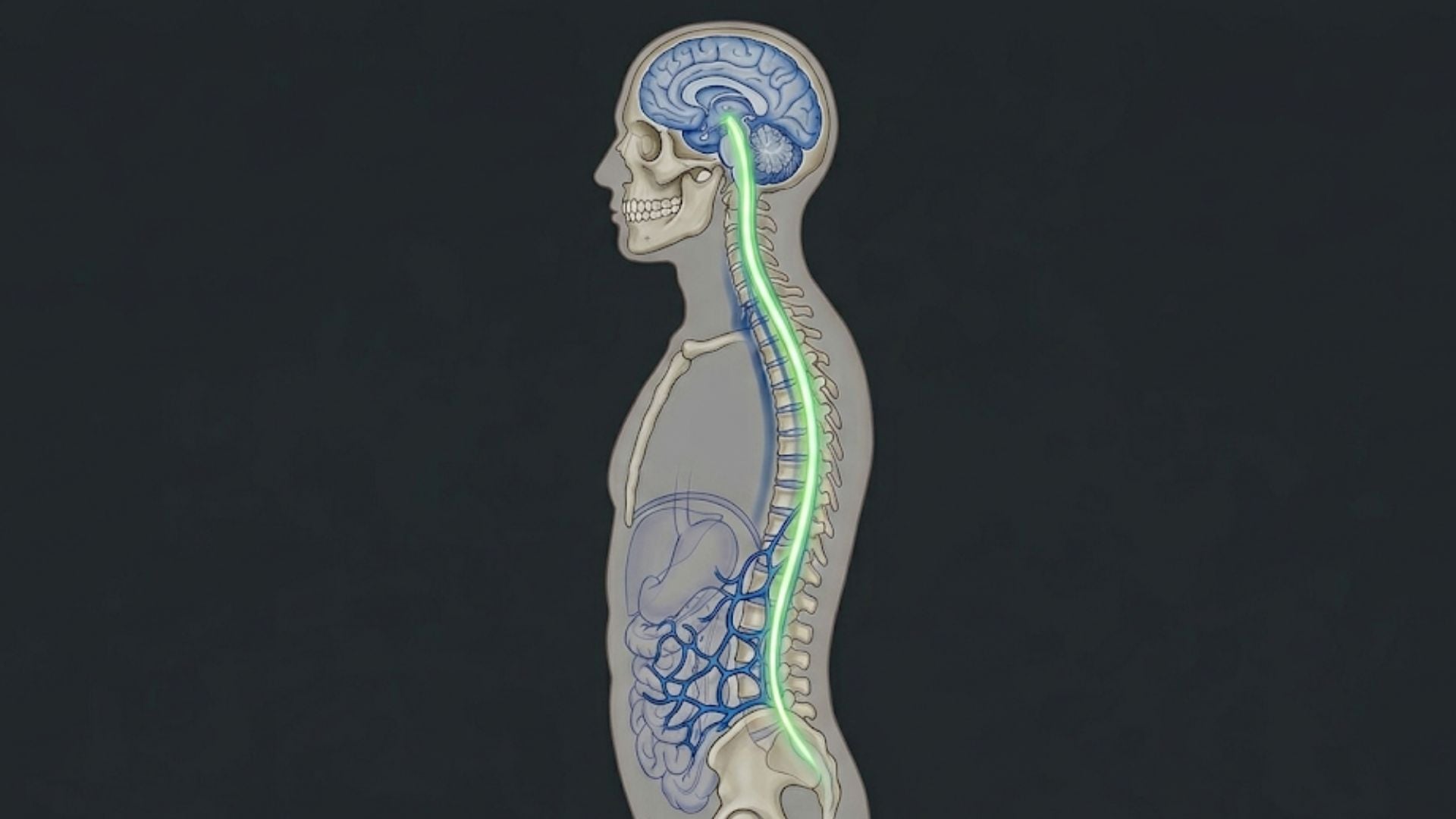 El tratamiento de Michael Archer incluye una cirugía prevista para octubre de 2026 en el Hospital Addenbrookes y una medicación de por vida para frenar el avance de los tumores (Imagen Ilustrativa Infobae)