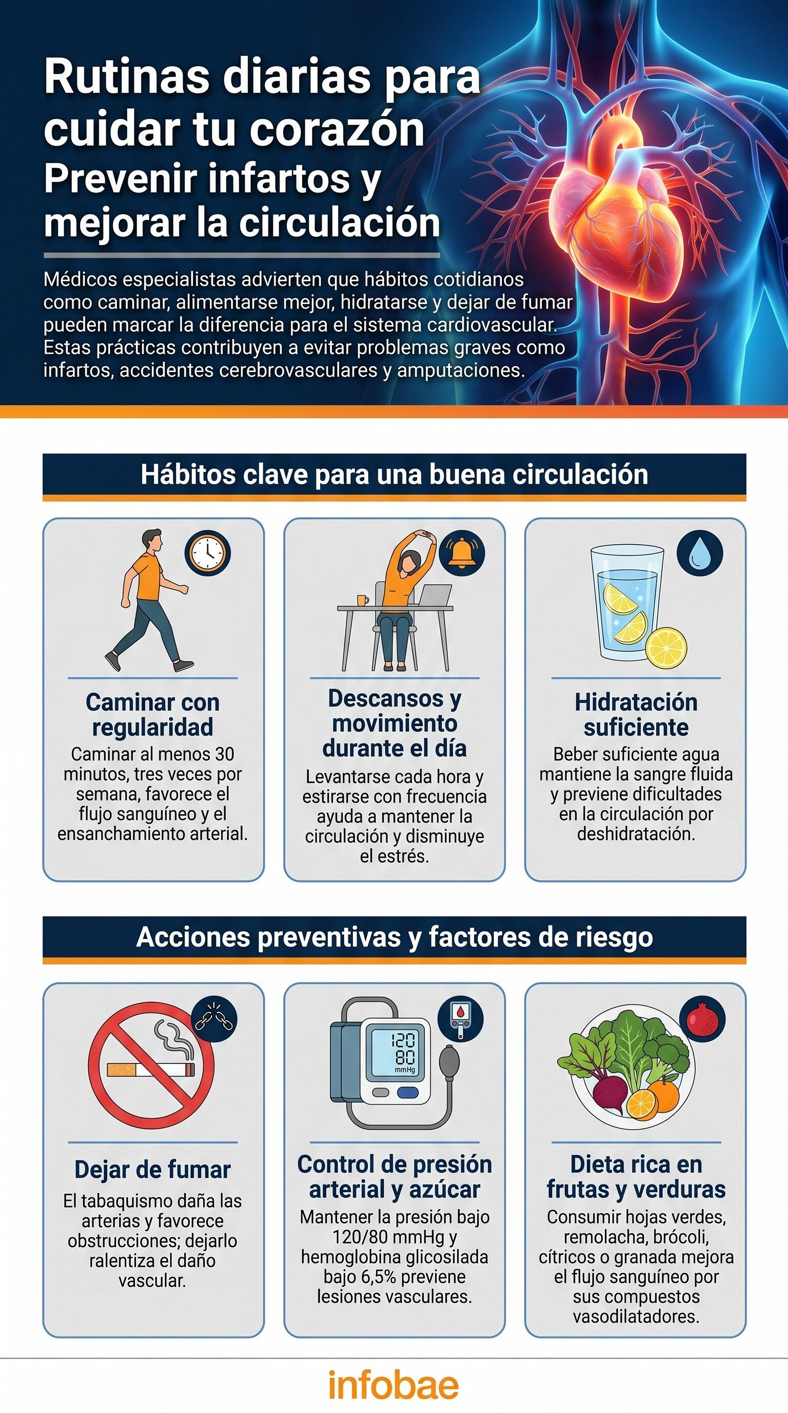 Infografía detalla rutinas diarias como caminar, hidratarse y una dieta saludable para proteger el corazón, mejorar la circulación y prevenir infartos, según expertos médicos. (Imagen Ilustrativa Infobae)
