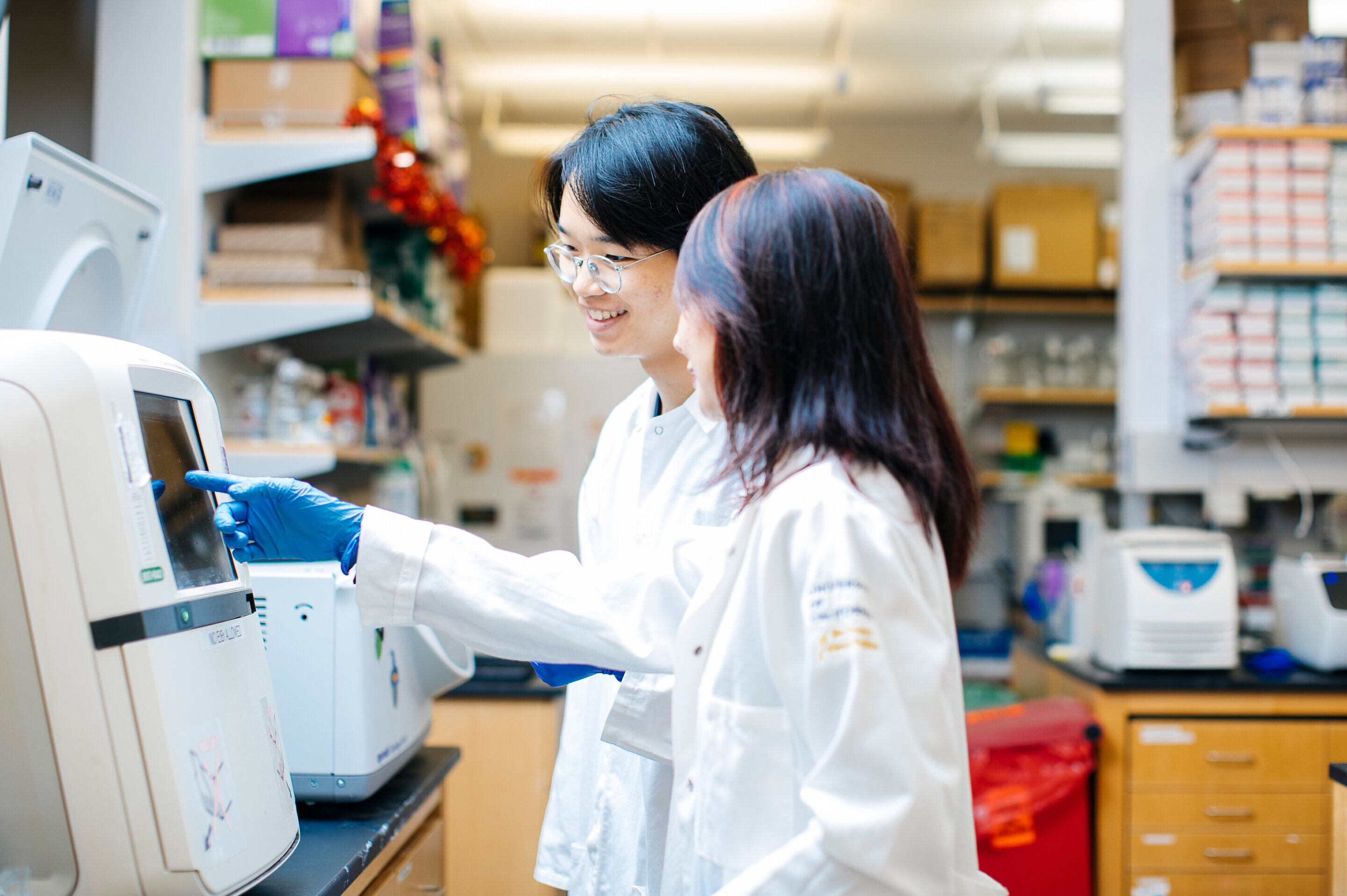 Investigadores liderados por la profesora Lili Yang descubrieron que la creatina no solo beneficia a los músculos, sino que también refuerza funciones clave del sistema inmune Crédito: Elena Zhukova, Centro de Investigación de Células Madre Broad de la UCLA (gentileza UCLA Health)