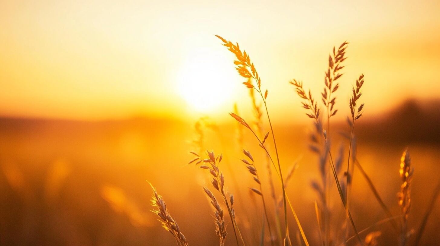 Dietas libres de gluten: su impacto en la salud en personas sin diagnóstico y la recomendación de los expertos