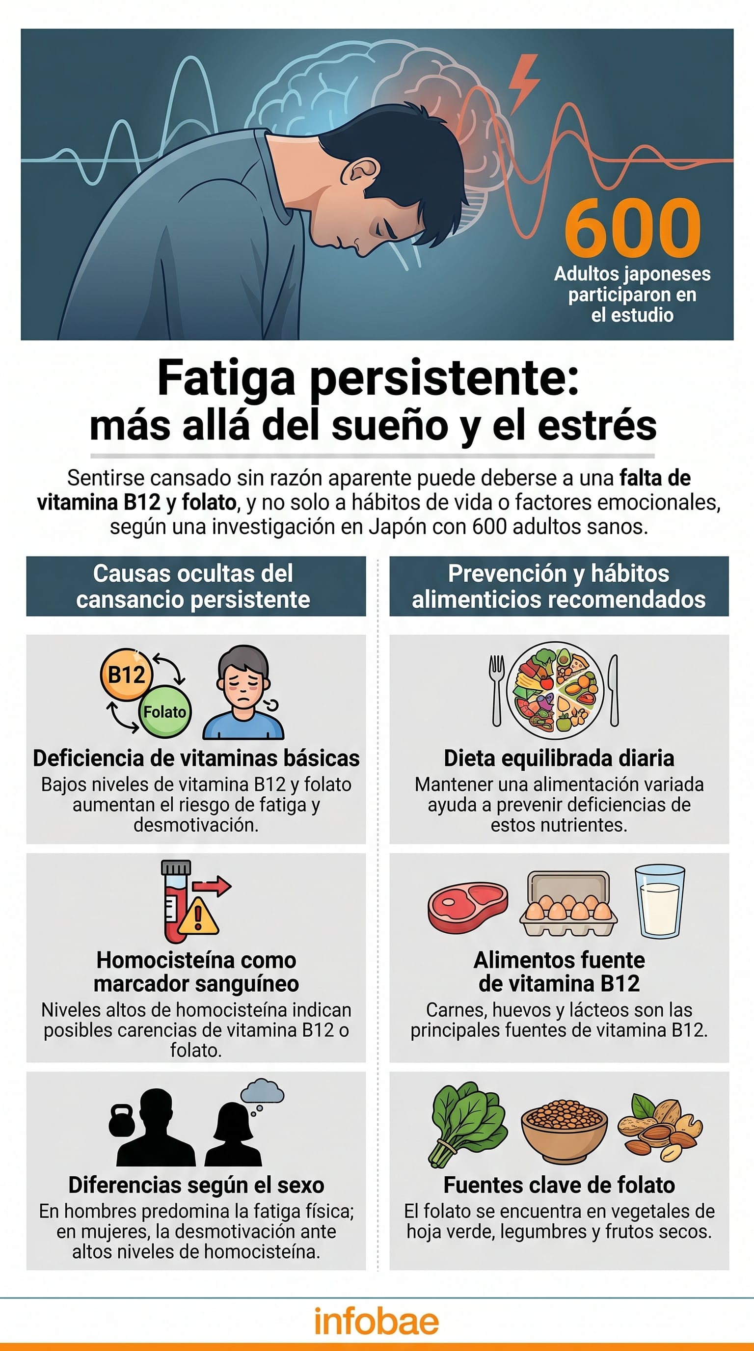 El trabajo, publicado en Nutrients, evaluó a 600 personas y observó que valores elevados de esta sustancia, asociada a déficits de vitamina B12 y folato (Imagen ilustrativa Infobae)
