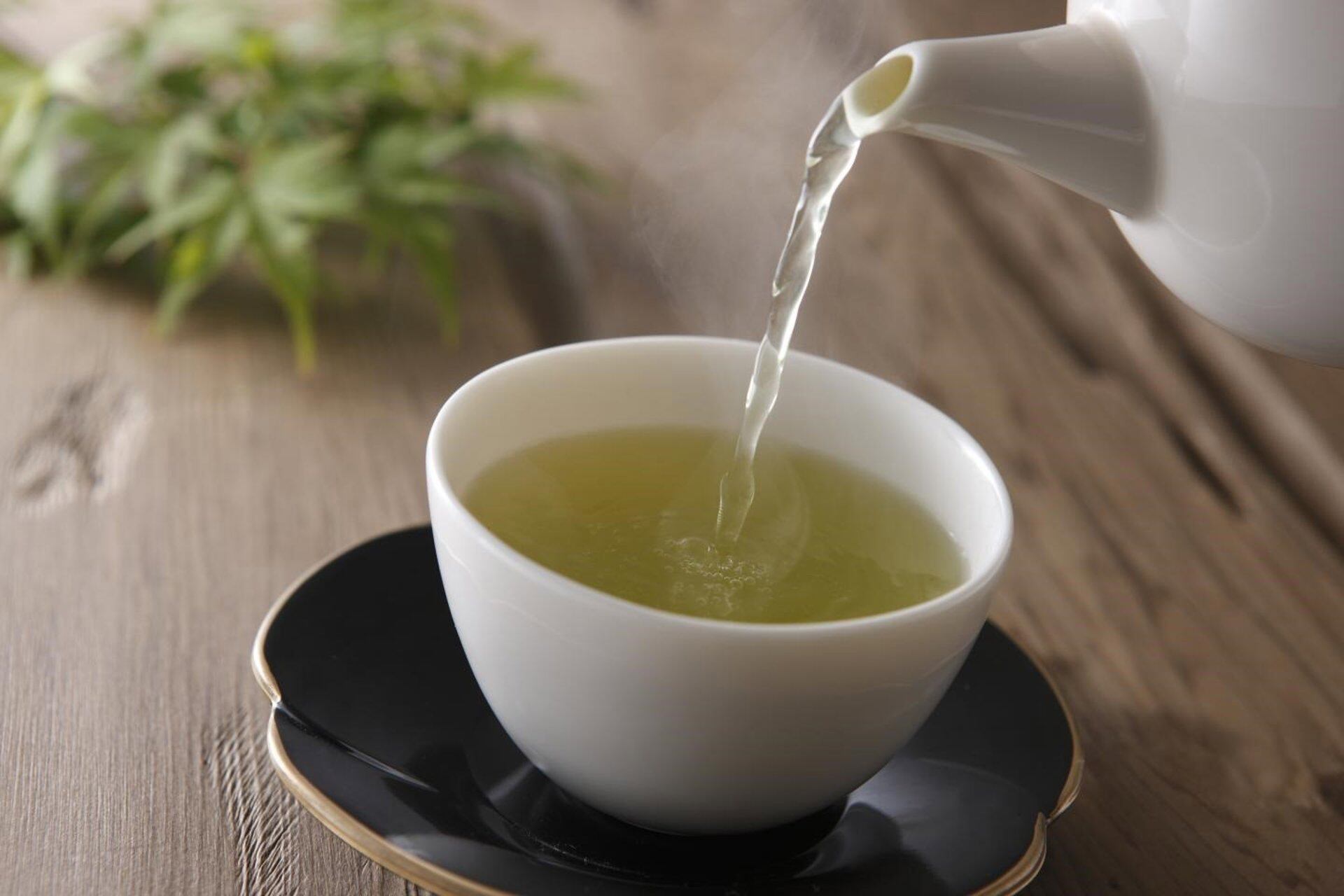 Ismael Galancho advirtió que no todos los compuestos del té verde se liberan a la misma velocidad durante la infusión (RENSSELAER POLYTECHNIC INSTITUTE)