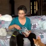 El estereotipo de la “loca de los gatos” se mantiene como un prejuicio de género en Occidente