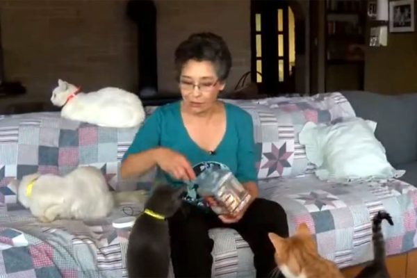 El estereotipo de la “loca de los gatos” se mantiene como un prejuicio de género en Occidente