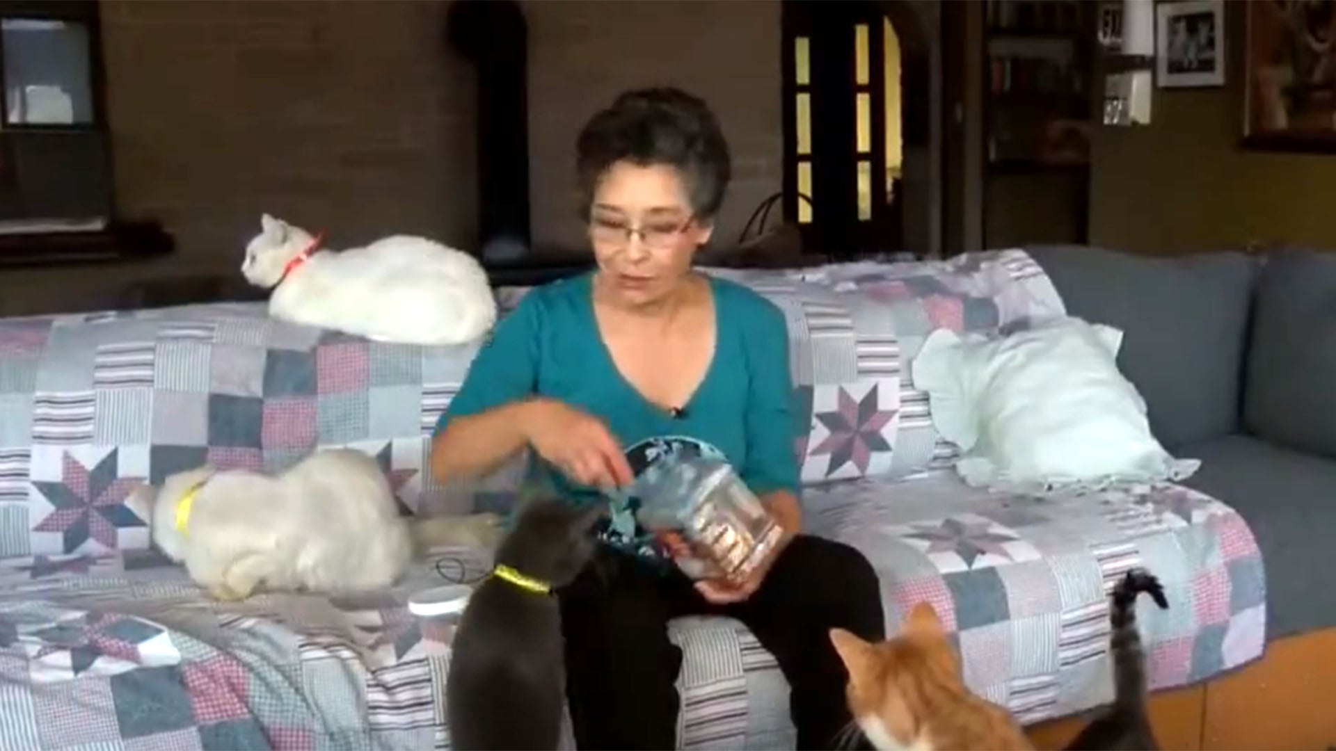 El estereotipo de la “loca de los gatos” se mantiene como un prejuicio de género en Occidente