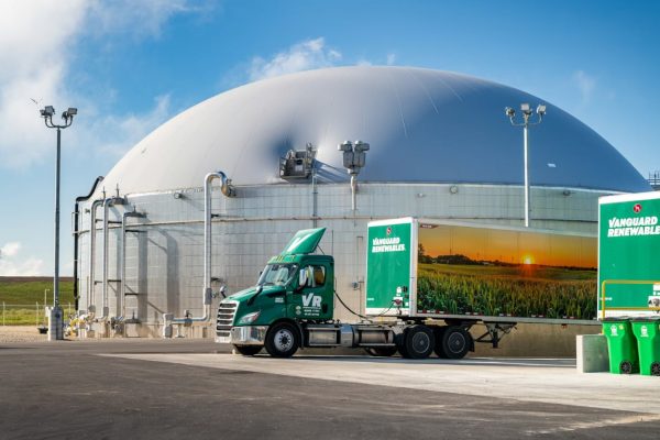El estiércol de vaca podría ser el próximo combustible para centros de datos, mientras crecen las tensiones por el futuro energético rural