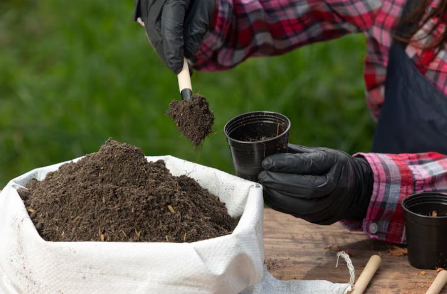 El residuo sólido y líquido resultante de la producción de biogás plantea desafíos adicionales para la gestión ambiental en zonas rurales (Magnific)