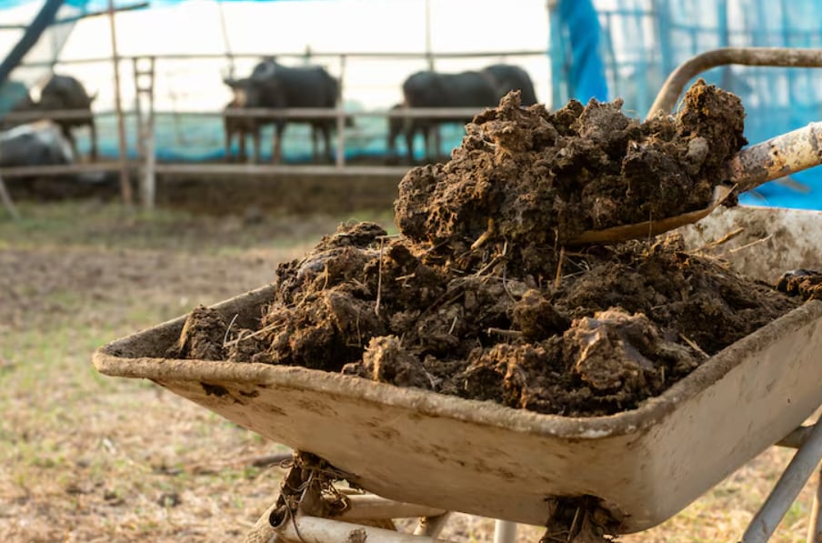 Un sistema agrícola transforma residuos ganaderos en energía, marcando una tendencia emergente en el sector tecnológico de Estados Unidos (Magnific)