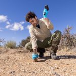 El primer mapa global de hongos subterráneos reveló dónde está la red viva más extensa del planeta