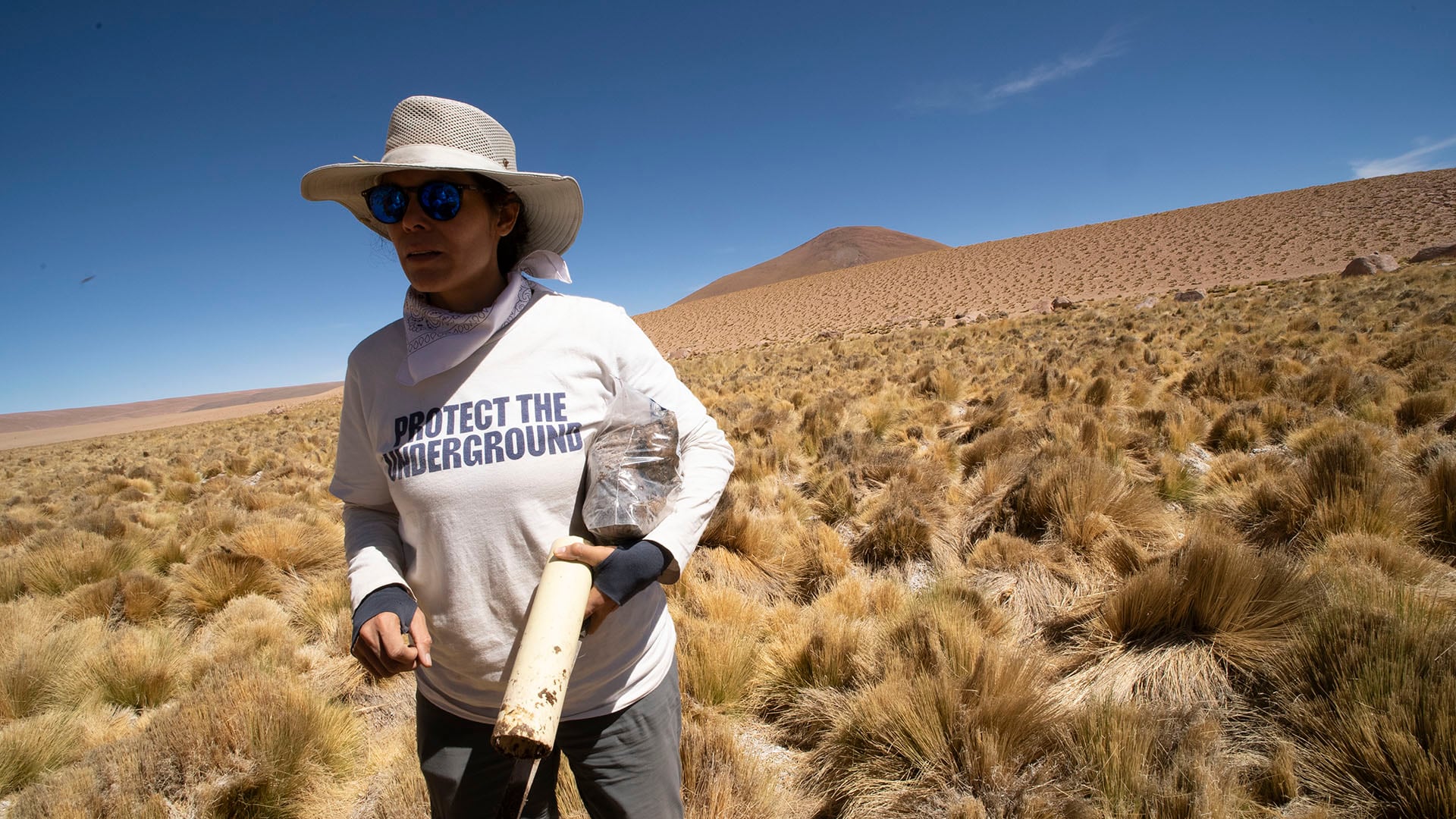 El equipo científico reunió más de 16.000 muestras de suelo en nueve biomas y usó aprendizaje automático para estimar la densidad de las redes fúngicas/Mateo Barrenengoa