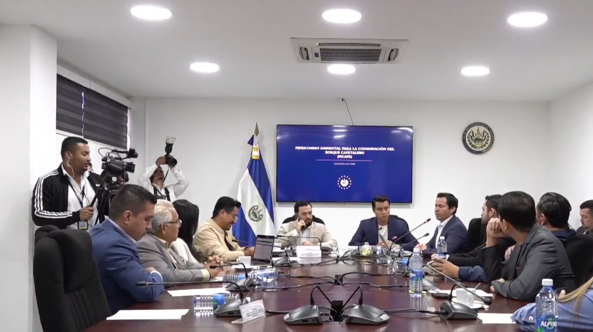En la comisión se habló de suspensiones de embargo, carteras difíciles de recuperar y un “respiro” pendiente para la caficultura, mientras bancos como Agrícola, Cuscatlán y Davivienda aparecen como actores del esquema (Captura de pantalla de la transmisión en directo).