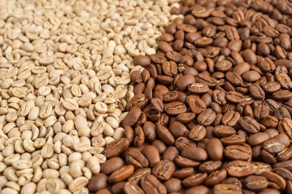 Gobierno salvadoreño propone ampliar a cinco años el fideicomiso al sector cafetalero, conocido como “FICAFÉ”