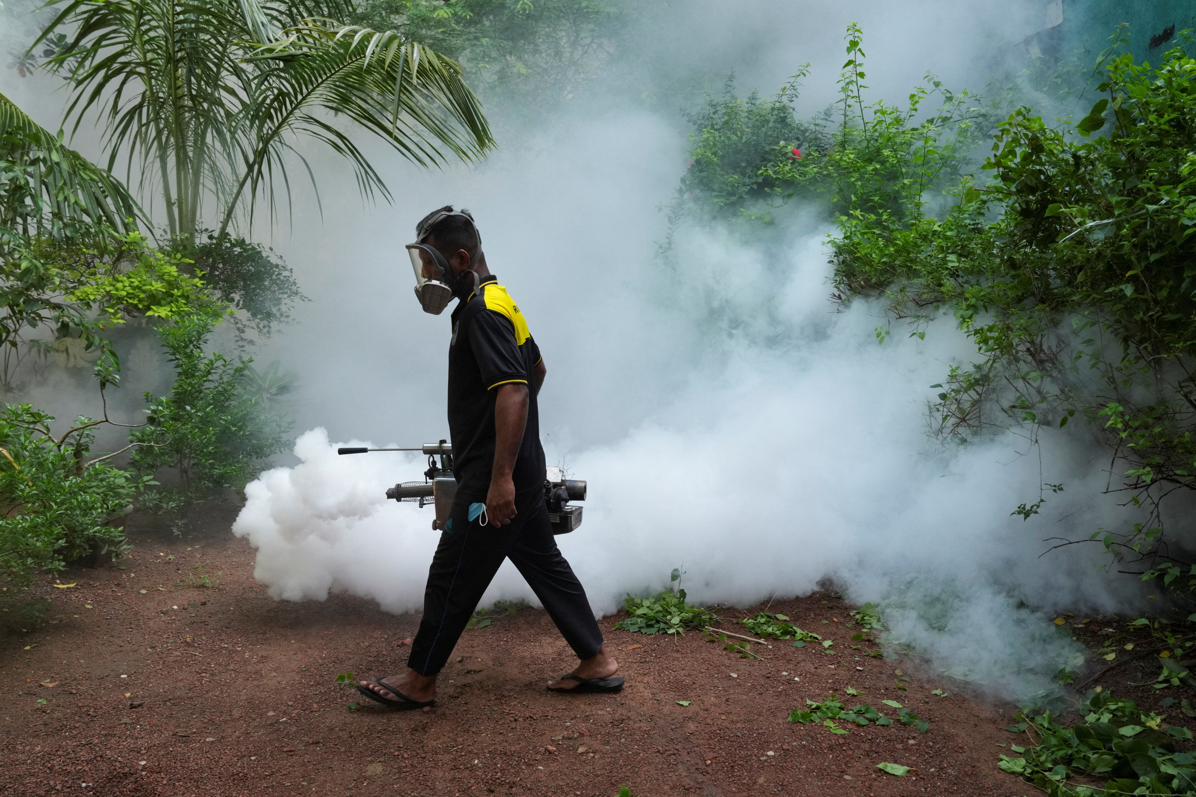 El texto mencionó que en la última década se registraron en la región Zika, chikungunya, fiebre amarilla, sarampión y otros virus desatendidos y reemergentes (Reuters)
