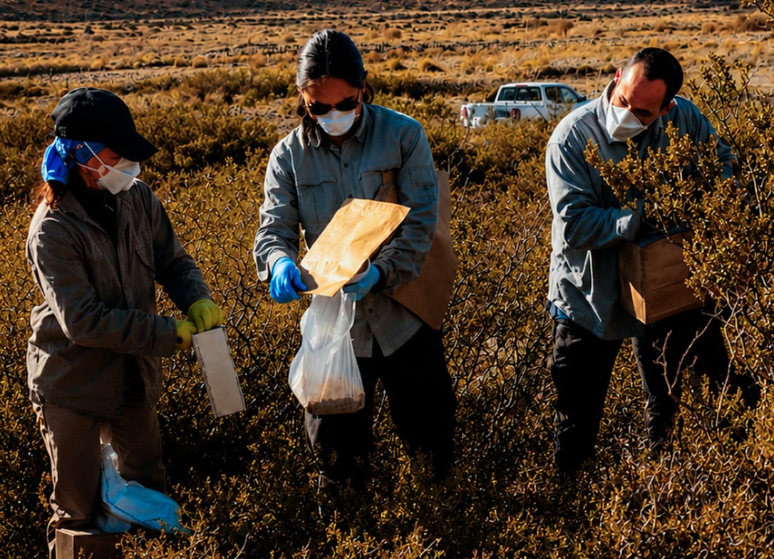 Un comentario en The Lancet advirtió que el brote de hantavirus de 2026 expuso fallas persistentes de vigilancia y coordinación sanitaria en América Latina
