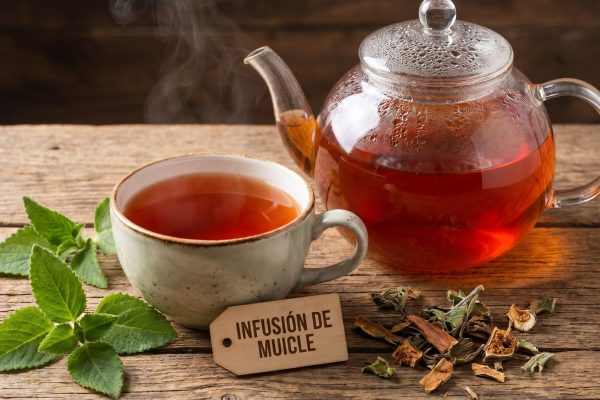 Infusiones y suplementos: qué se sabe sobre las hierbas que prometen reducir el estrés