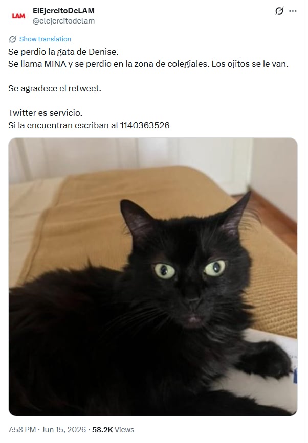 Las redes sociales de LAM difunden la búsqueda de Mina, la gata de Denise Dumas que se perdió en Colegiales en la zona de Plaza Mafalda (X)