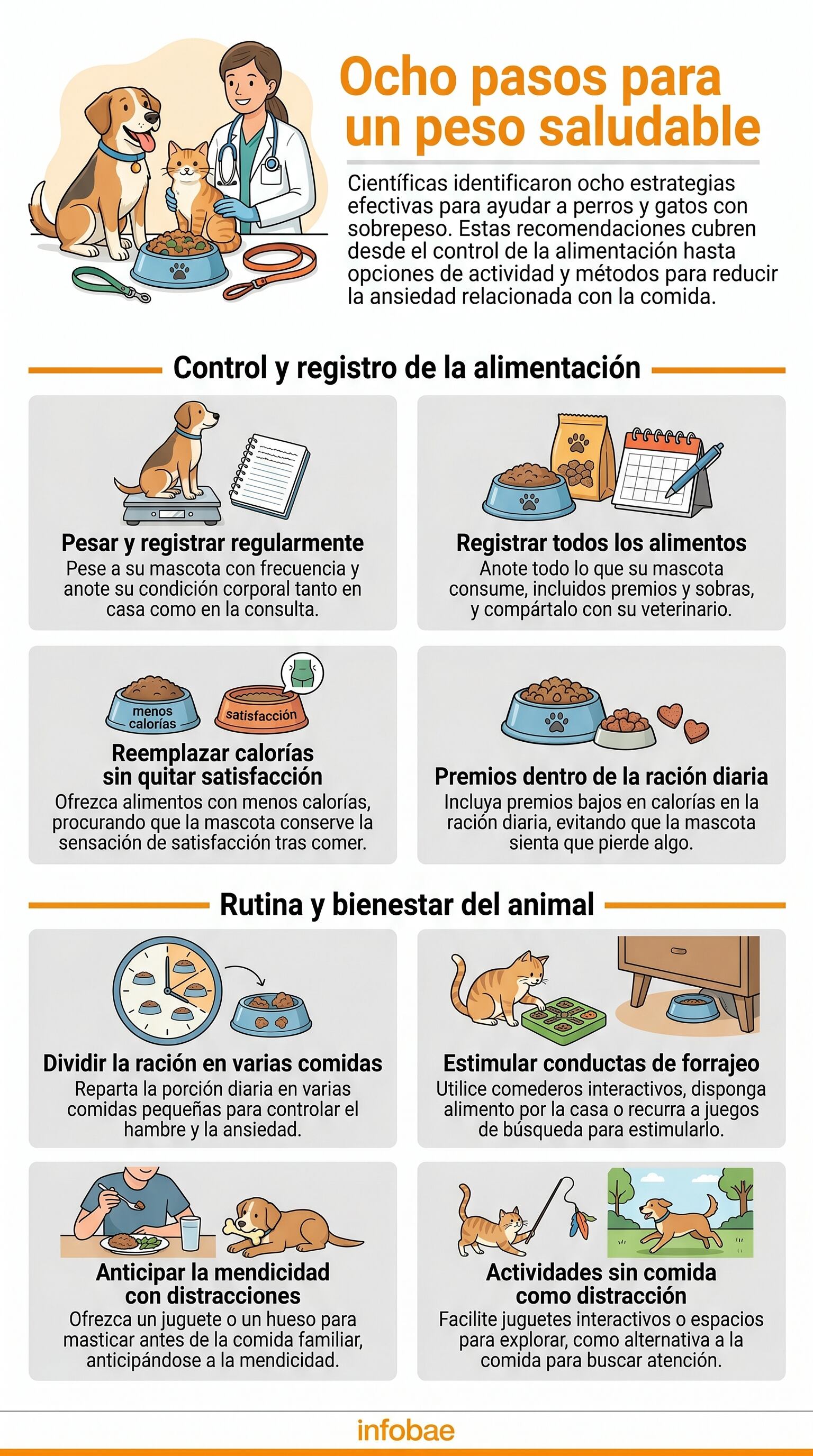 Las científicas identificaron estrategias efectivas para tratar el sobrepeso en perros y gatos. (Imagen Ilustrativa Infobae)