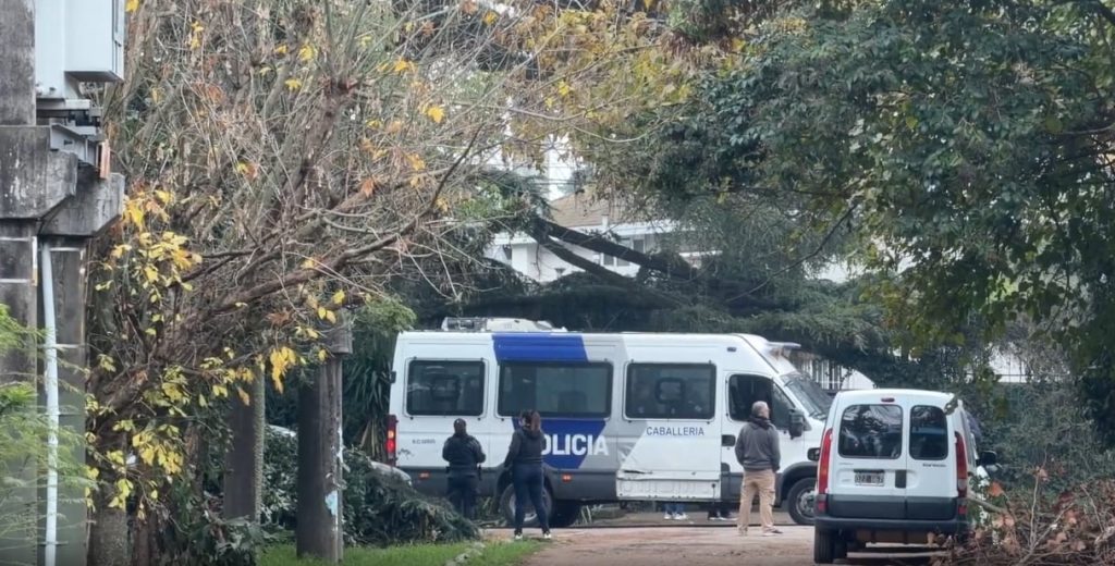 La muerte del Indio Solari: citarán a declarar como testigo a la médica que lo trataba por el párkinson
