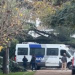 La muerte del Indio Solari: citarán a declarar como testigo a la médica que lo trataba por el párkinson