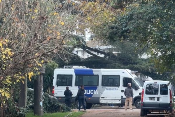 La muerte del Indio Solari: citarán a declarar como testigo a la médica que lo trataba por el párkinson