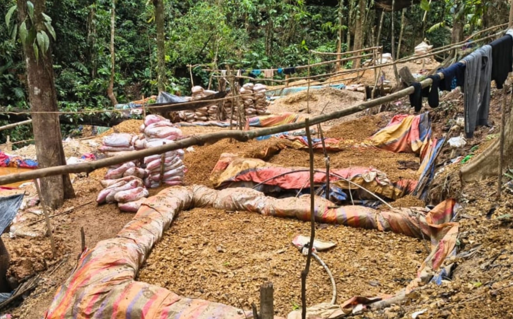  la controversia gira en torno a la legalización de la minería de oro como estrategia para frenar el deterioro ambiental, el robo de recursos y el fortalecimiento de la criminalidad en Crucitas. Crédito: Ministerio de Seguridad Pública